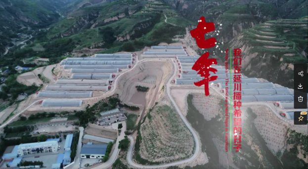 图片24.png 图片24.png