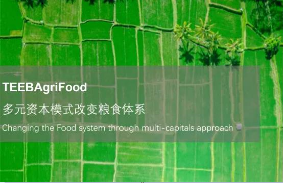 Capitals Coalition: Focus on the value of people and nature