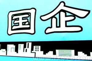 SOEs Should Play a Leading Role in Social Responsibility Fulfillment