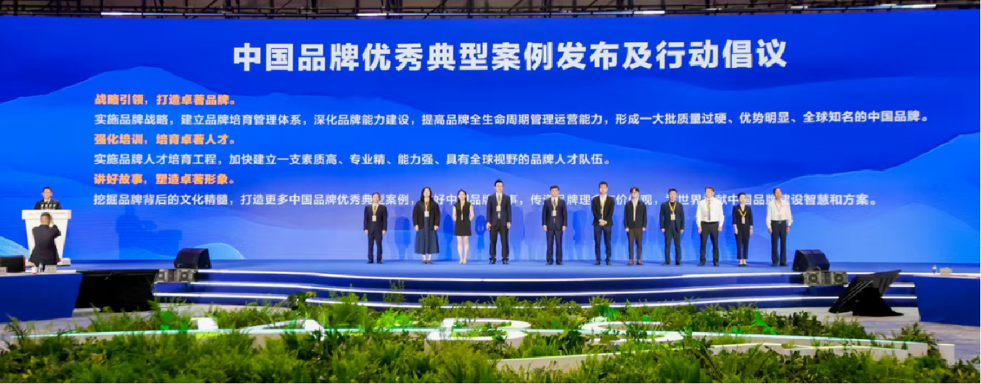中国品牌优秀典型案例